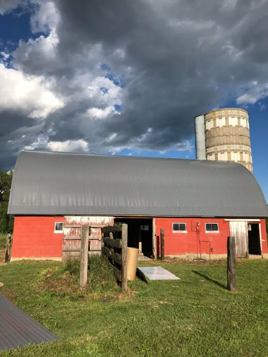 North End Contracting Picture 4