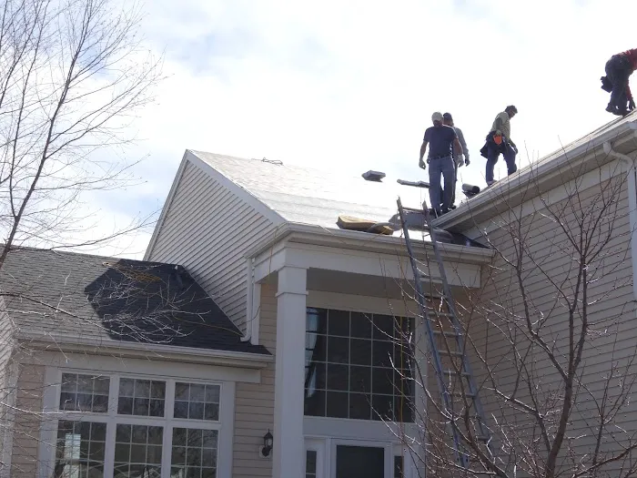 Delta Roofs Picture 4