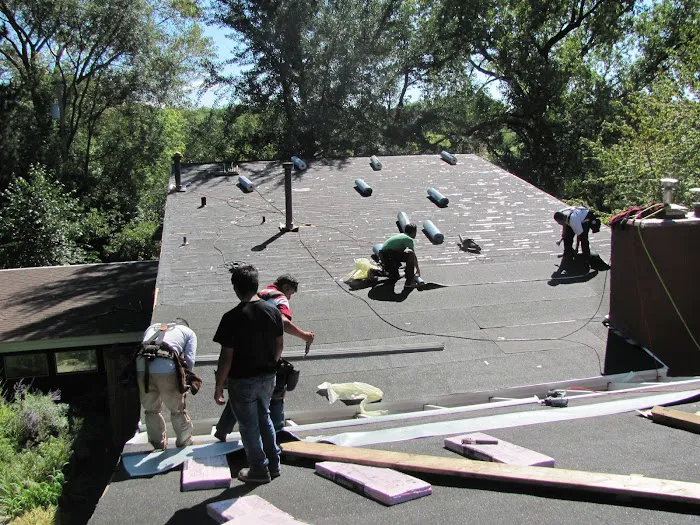 Delta Roofs Picture 1