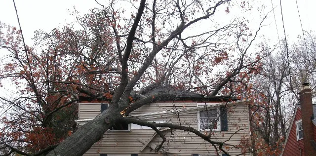 The Roof Guys Picture 4