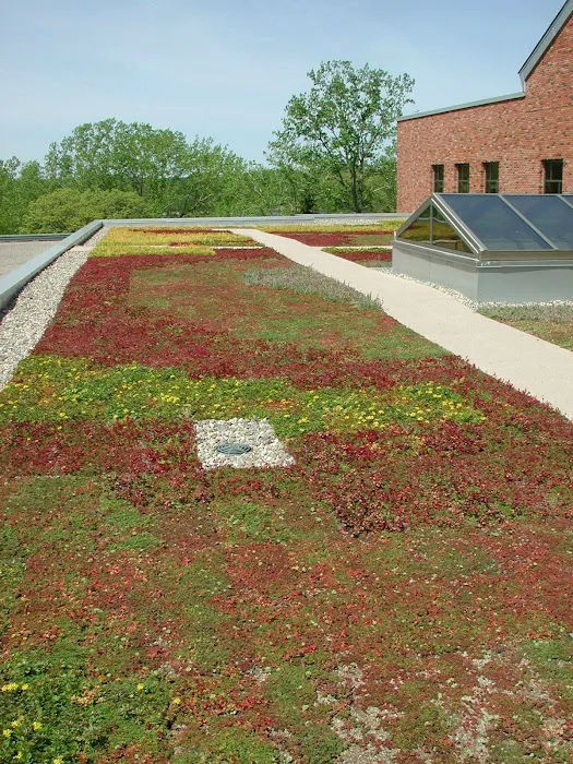 Berwald Roofing Company, Inc Picture 3