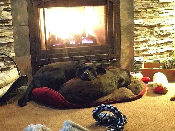 1st Team Exteriors Picture 10