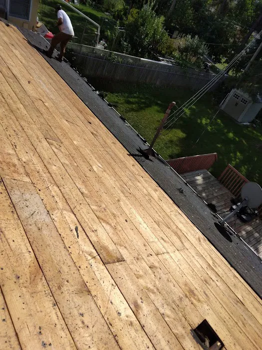 HEARTSOUL ROOFING Picture 10