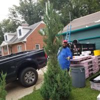 Trademark Restoration Inc. ico