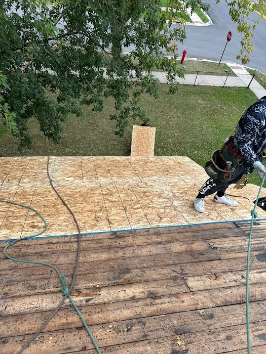 Bold North Roofing and Contracting - Bloomington Picture 7