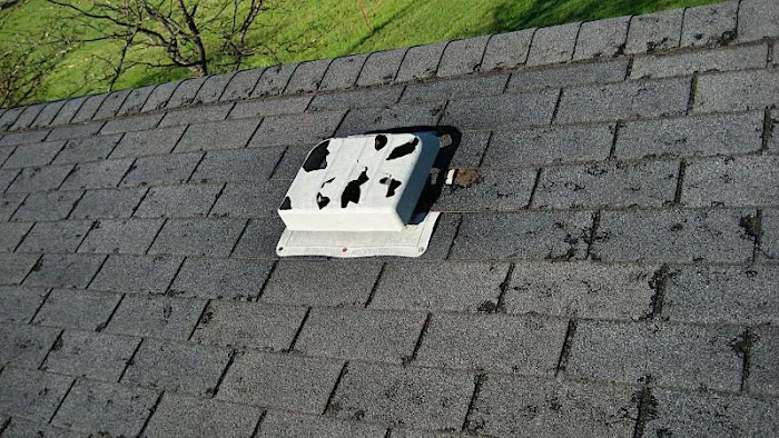 Minneapolis Roofing Repair Picture 7
