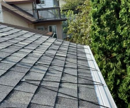 North Star Roof Deicing