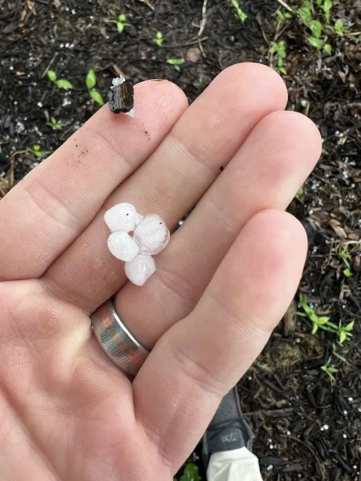 Alpha Exteriors Picture 3