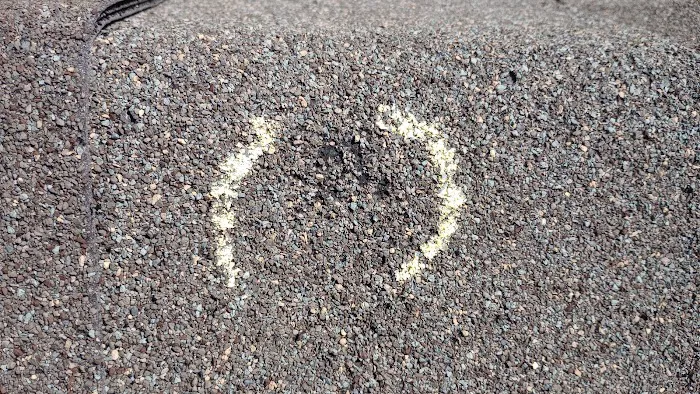 Pro Custom Builders & Roofing Picture 3