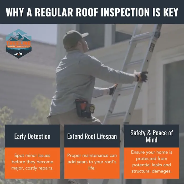 TreeLine Roofing & Construction - Twin Cities Picture 1