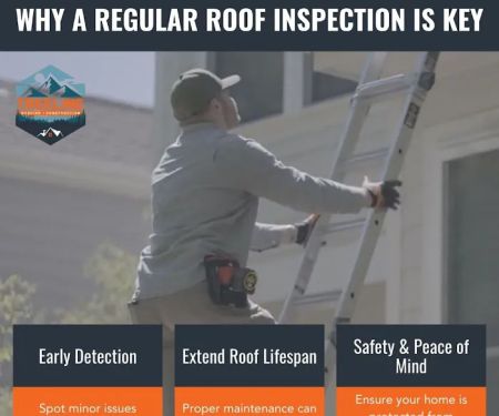 TreeLine Roofing & Construction - Twin Cities