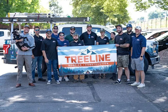 TreeLine Roofing & Construction - Twin Cities Picture 8