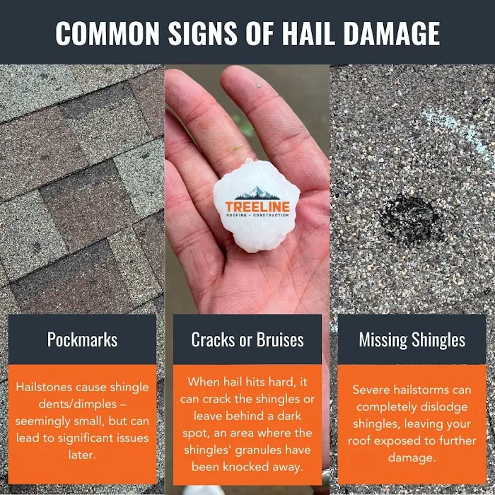 TreeLine Roofing & Construction - Twin Cities Picture 5