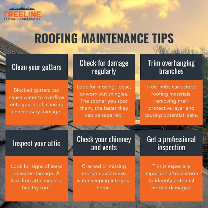 TreeLine Roofing & Construction - Twin Cities Picture 4