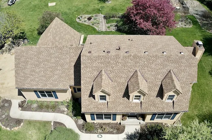 Wild Construction Picture 6