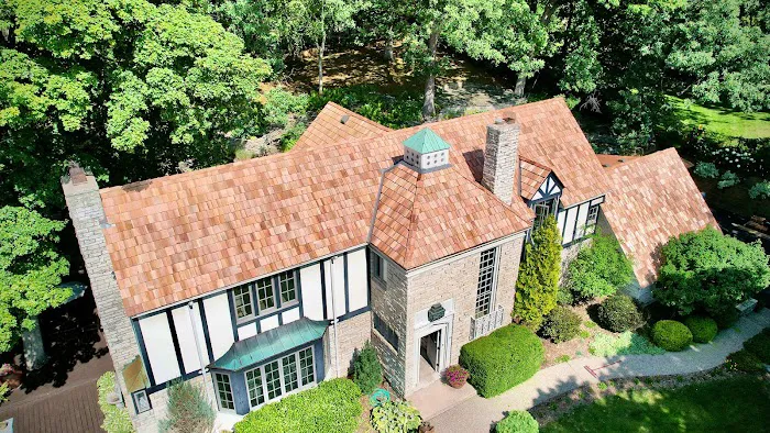 Wild Construction Picture 2