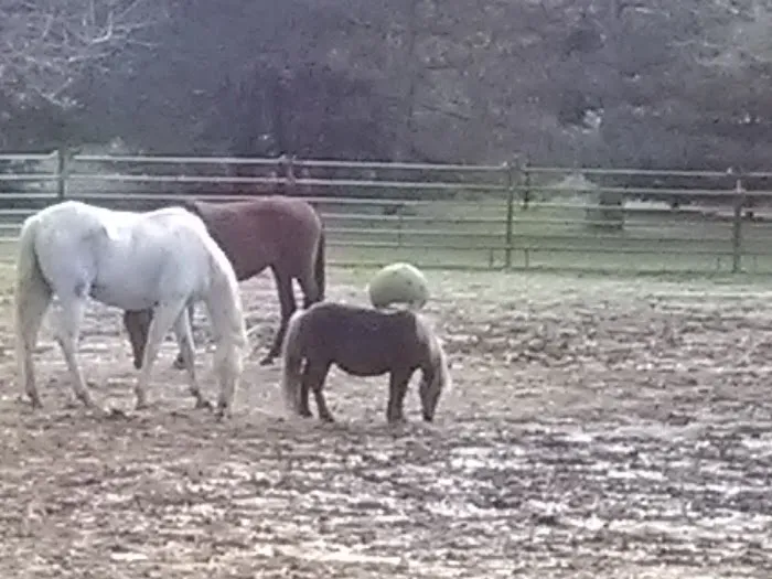 APEX CONSTRUCTION INC Picture 1