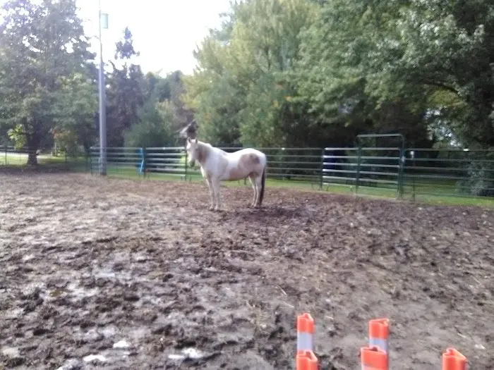 APEX CONSTRUCTION INC Picture 2