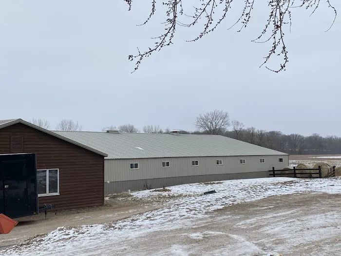 Mayday Restoration Picture 3