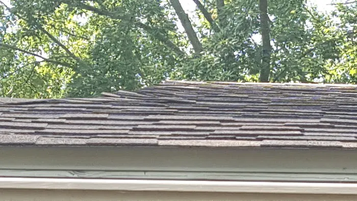 Constructive Solutions, LLC Picture 8