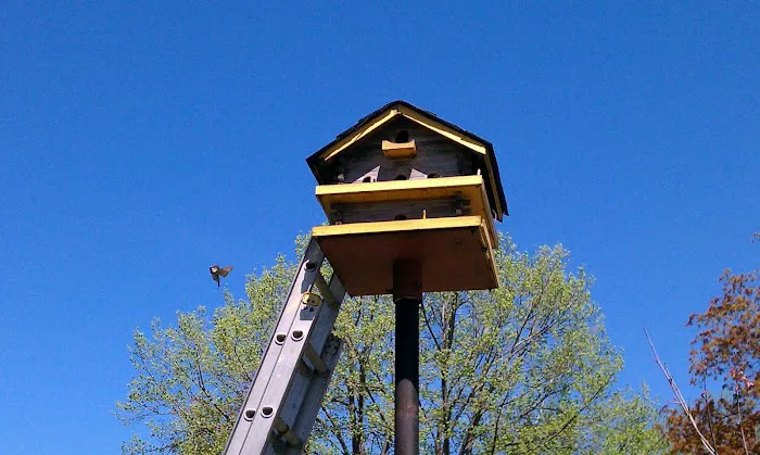 Maz Roofing by Maz Services Inc. Picture 2