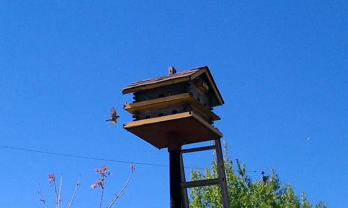 Maz Roofing by Maz Services Inc. Picture 3