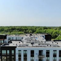 Schwickert's Tecta America ico