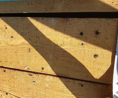 Experienced Builders, LLC