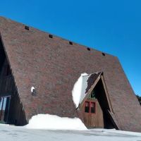 RJI Professionals, Inc. ico