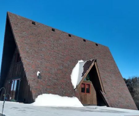 RJI Professionals, Inc.