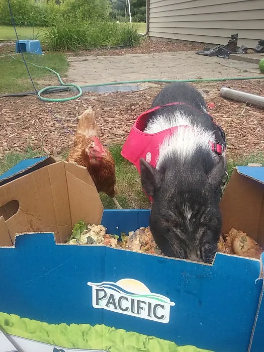 Carpentier Roofing, Inc. Picture 2