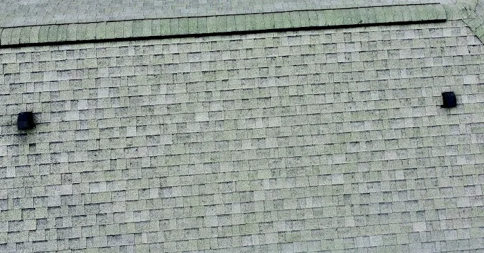 New Edge Exteriors Picture 5