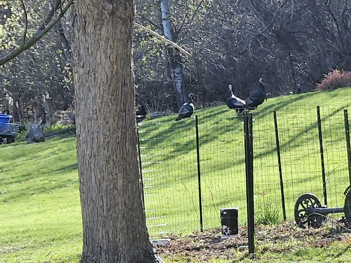 Bradach Roofing, Siding, & Window Inc Picture 4