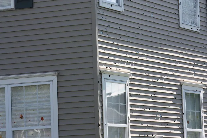 Association Reconstruction Picture 10