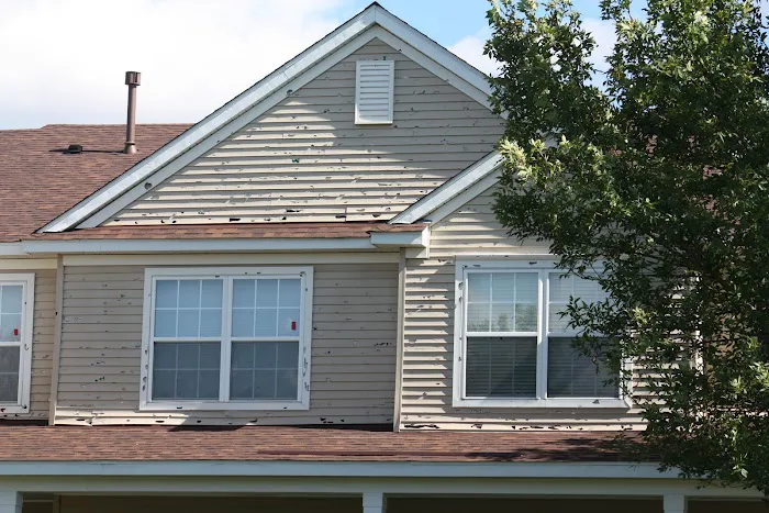 Association Reconstruction Picture 8