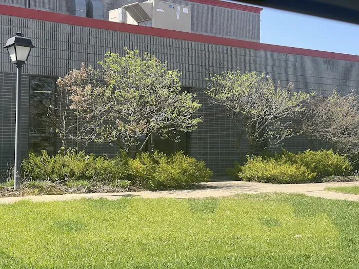 Mint Roofing Inc Picture 4