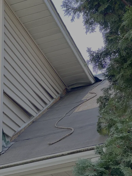 Custom Roofing Solutions Picture 2