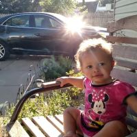 Wheeler Construction ico