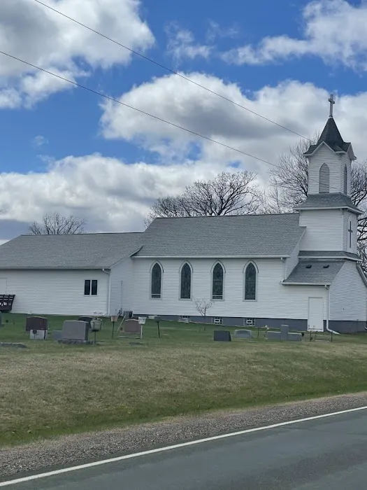 Marek Roofing Picture 1