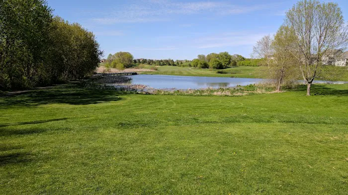 Roofing Contractors Minneapolis Picture 2