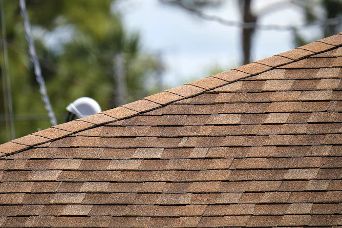 Rize Construction Picture 1