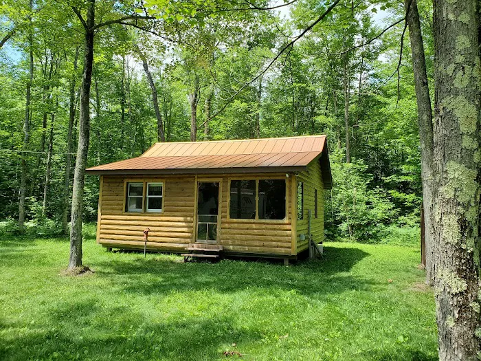 Lifetime Steel Roof Picture 4
