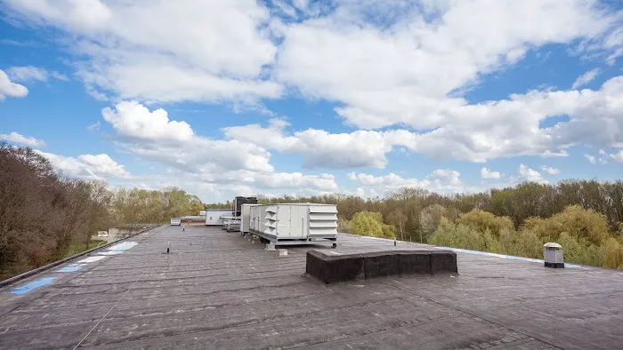 Malo Roofing, Inc. Picture 2