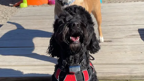 Premier Home Solutions, inc. Picture 6