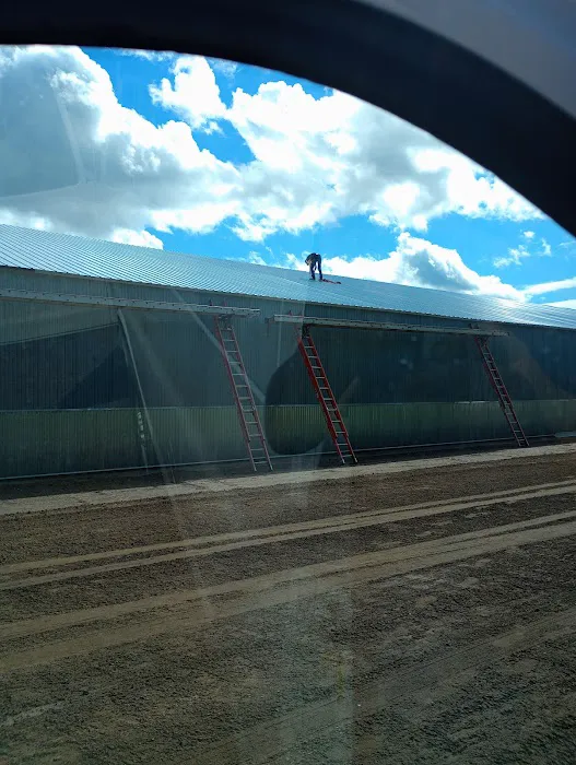 Steel Metal Roofing Picture 4