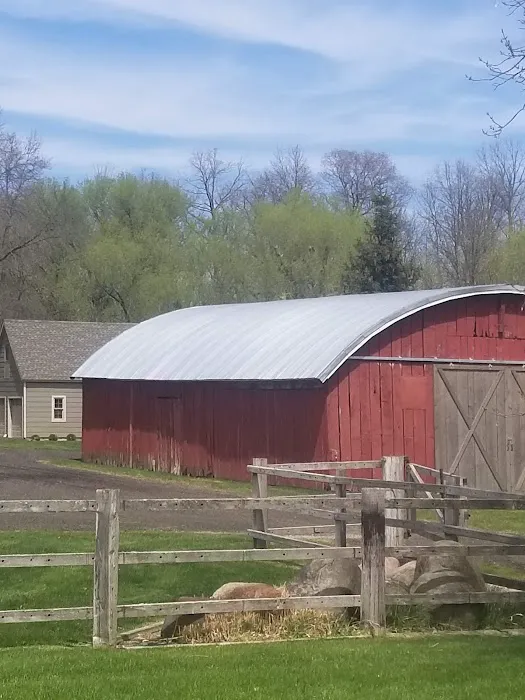 Steel Metal Roofing Picture 3