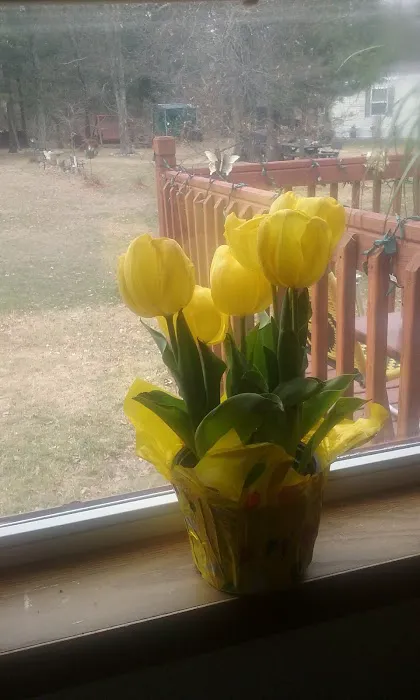 La Mere Roofing Picture 5