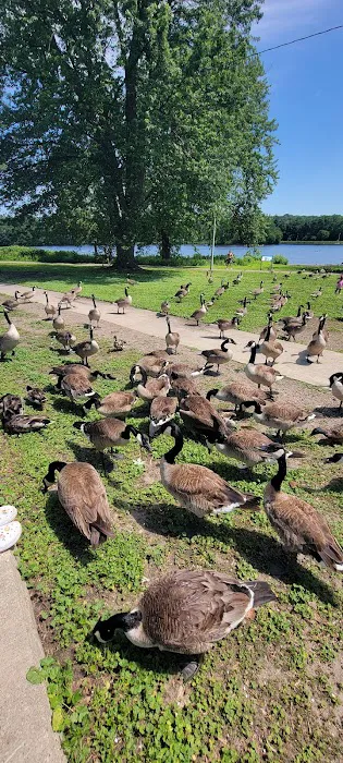 Borglum Roofing Picture 6