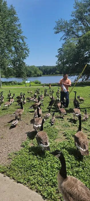 Borglum Roofing Picture 5