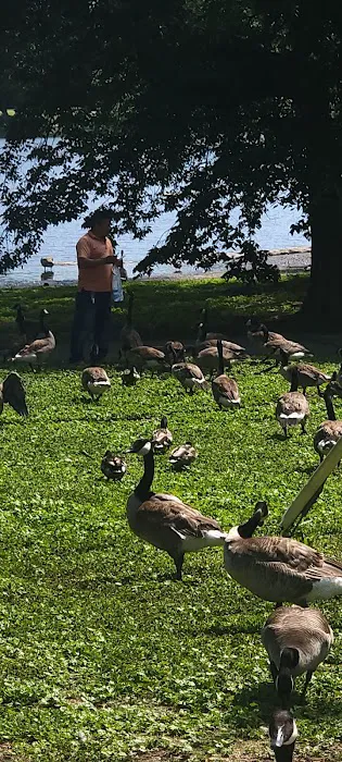 Borglum Roofing Picture 4